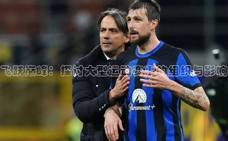 飞跃巅峰：探讨大型运动赛事的组织与影响